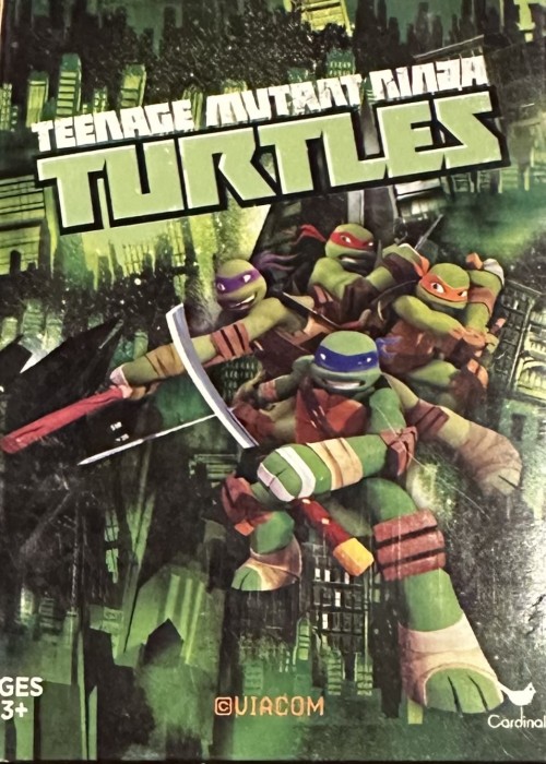 Teenage Mutant Ninja Turtles front image
