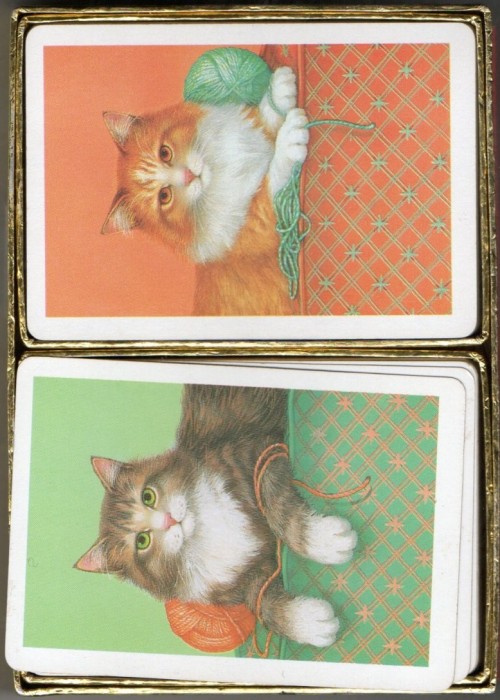 Congress Kittens front image