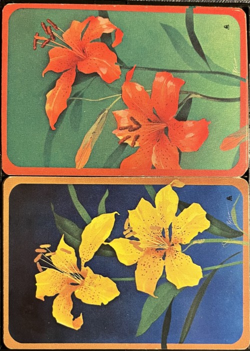 Red / Yellow Irises front image