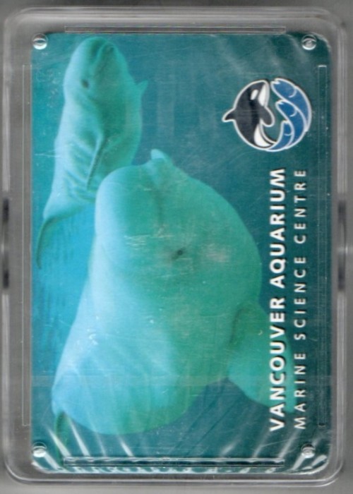 Vancouver Aquarium - Belugas front image