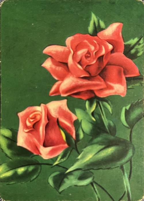 Roses (Pink) front image
