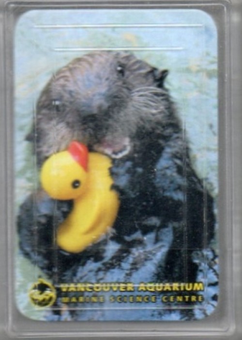 Vancouver Aquarium Rubber Duckie - China front image