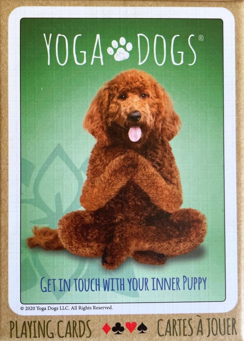 Yoga Dogs front image