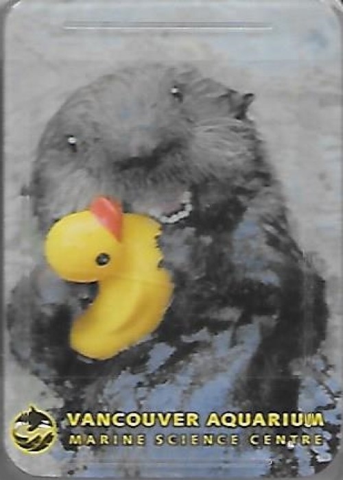 Rubber Duckie - Hong Kong front image