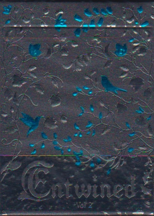 Entwined Fall Gunmetal front image