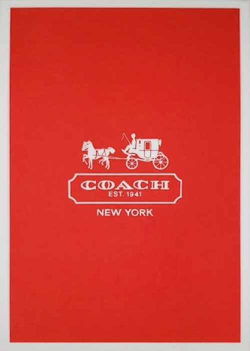 Coach front image