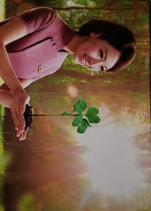 2013 calendar - Tree planting front image