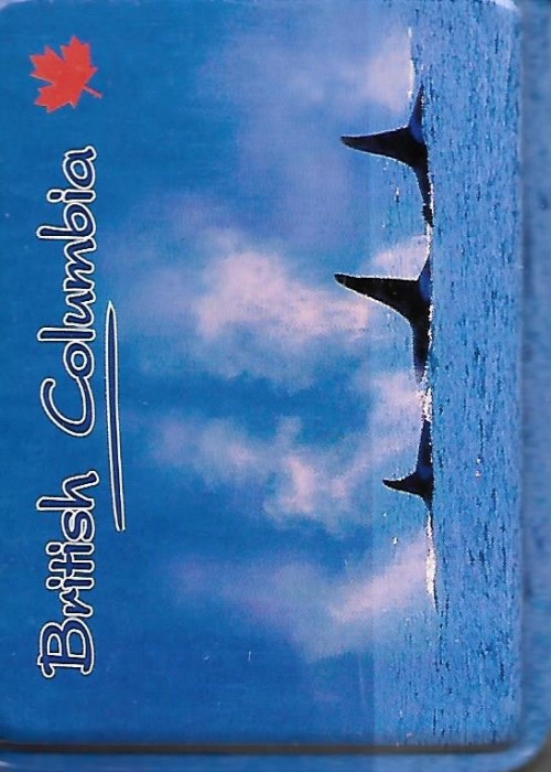BC Whales Blue front image