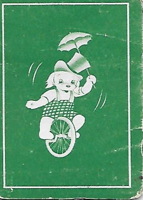 Unicyclist front image