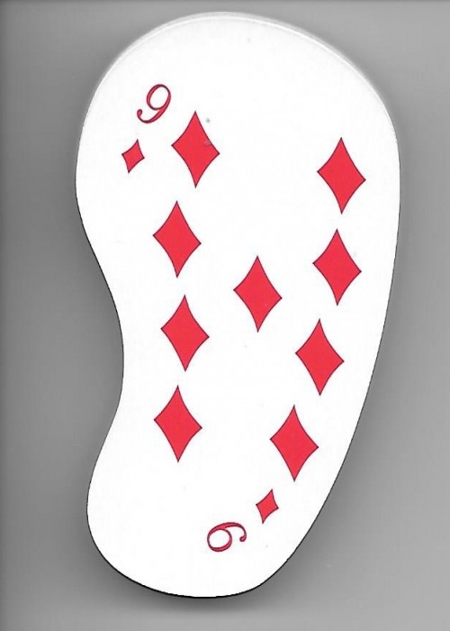 Hawaii Flip Flops front image