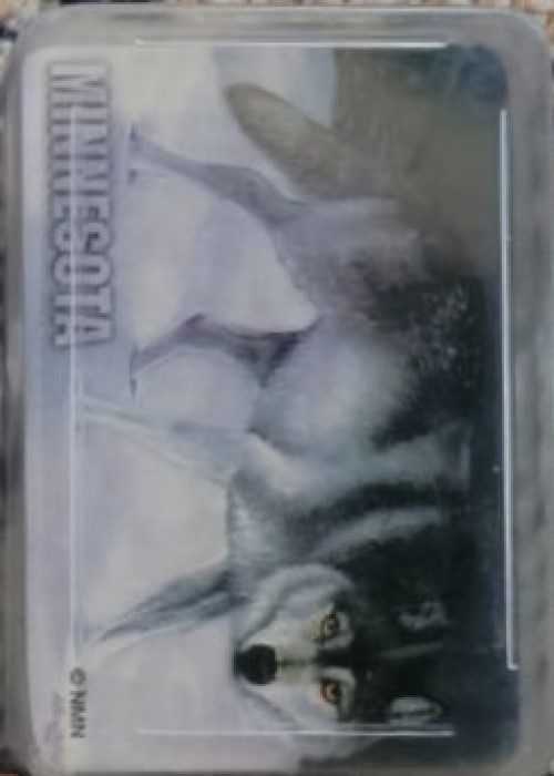 Minnesota (Mini) front image