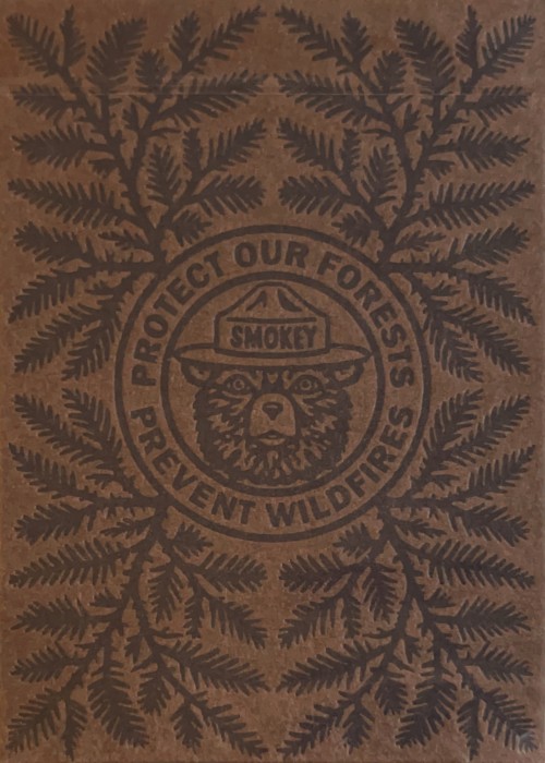 Smokey Bear - Brown front image