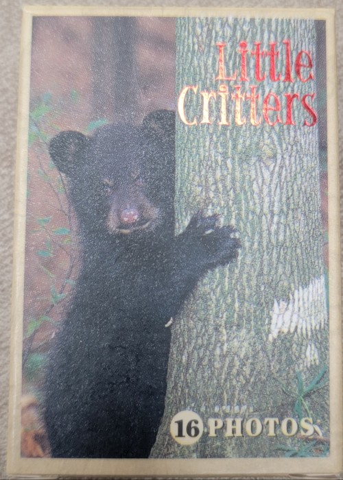 Little Critters (Mini) front image