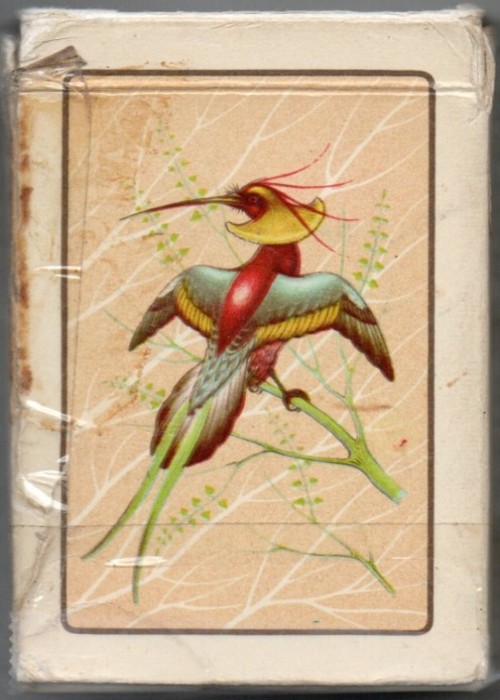 Bird - Hungary front image