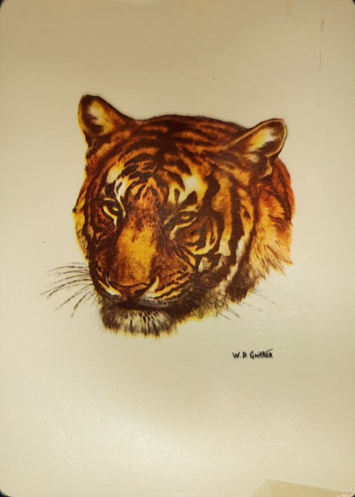 Tiger Head front image