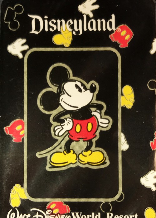 Disneyland front image