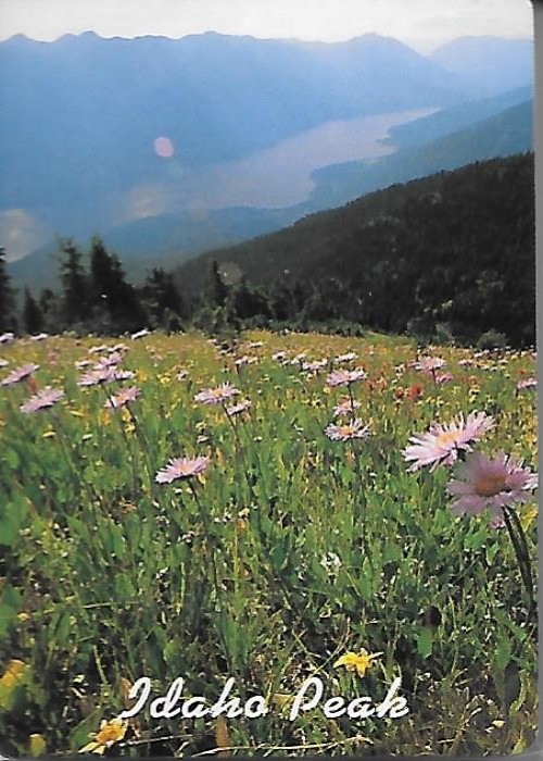 Idaho Peak front image