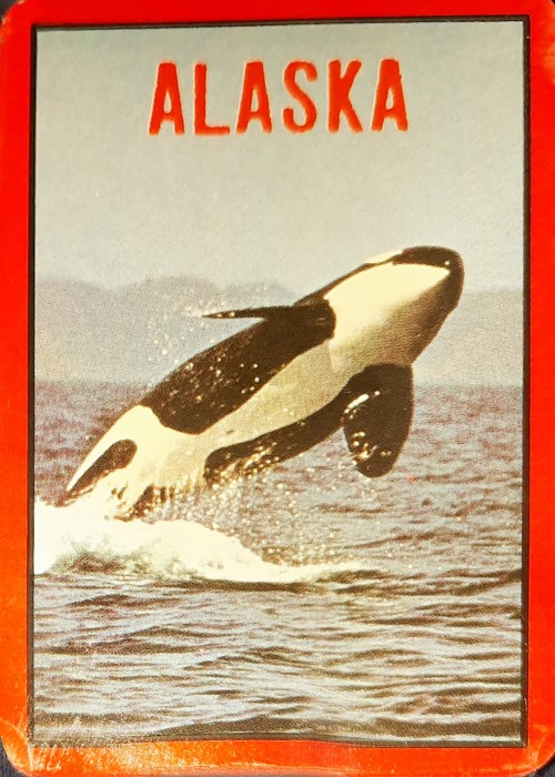 Alaska Whale front image