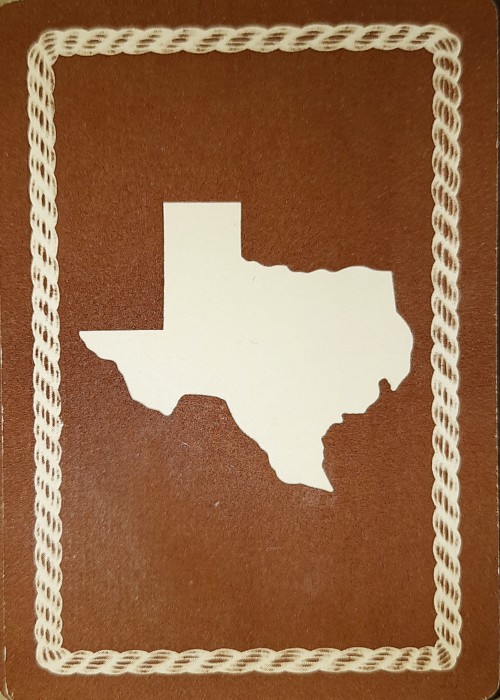 Texas Silhouette - Brown front image