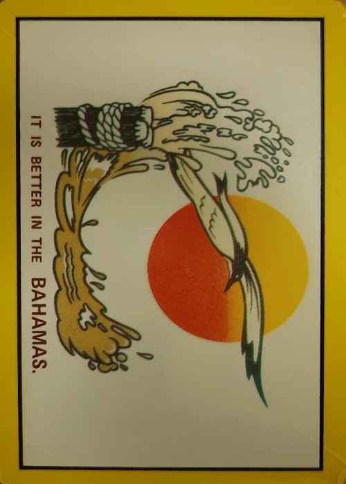 It Is Better In the Bahamas - Bird front image