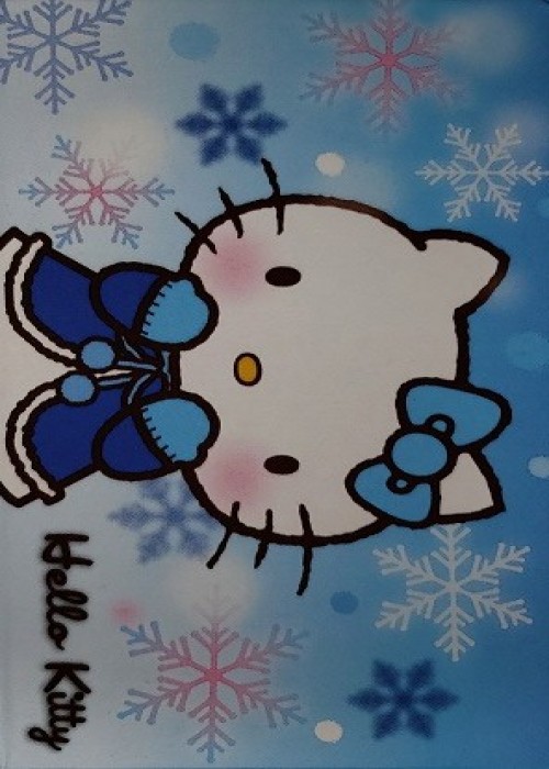 Eva Air-Hello Kitty Winter front image