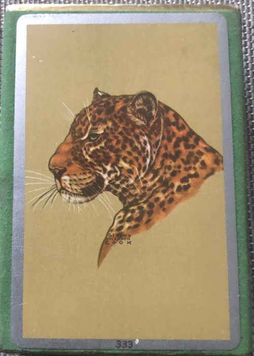 Leopard front image
