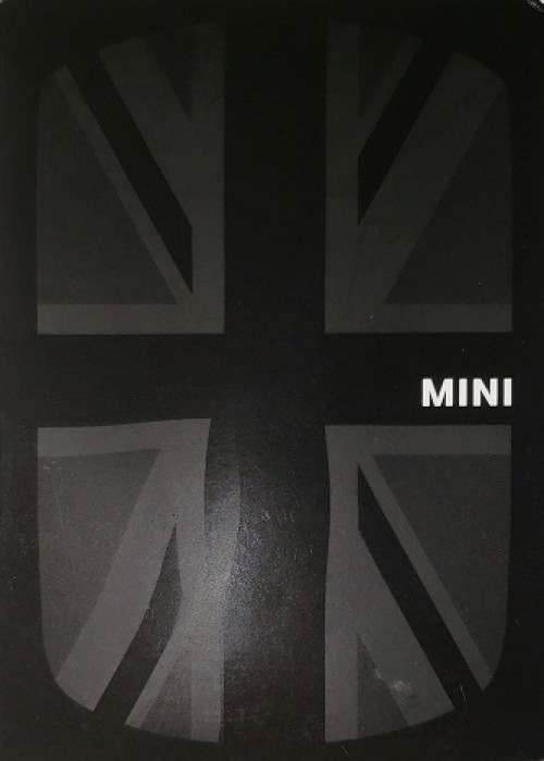 Mini Exciting front image