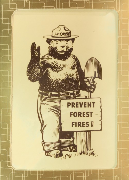 Smokey Bear front image