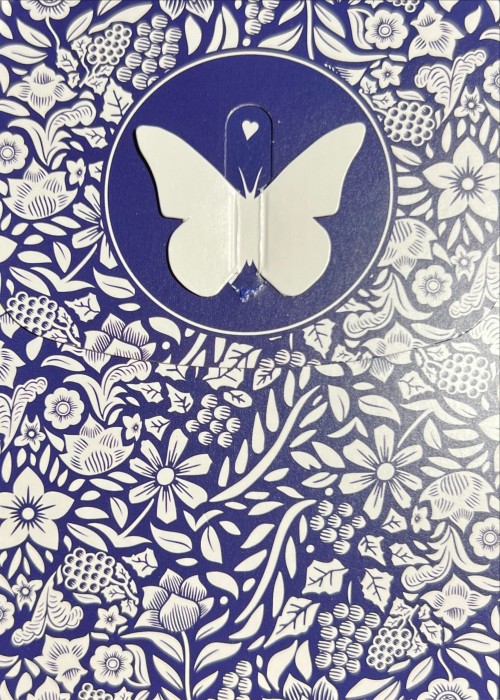 Butterfly Blue front image
