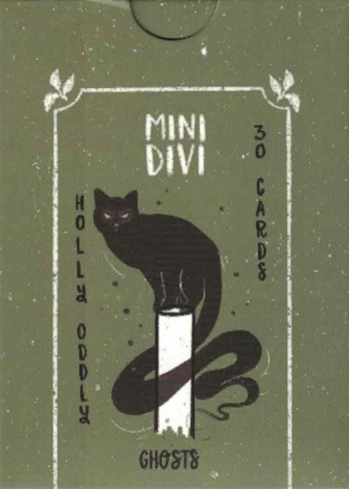 Mini Divi front image