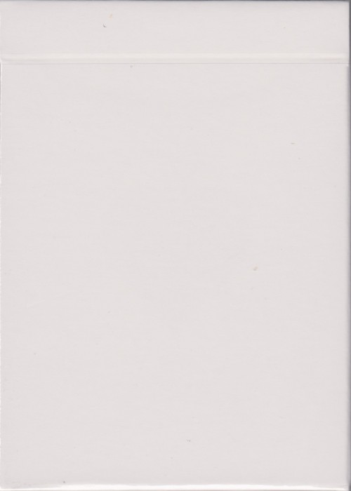 BE@RBRICK GAFF front image