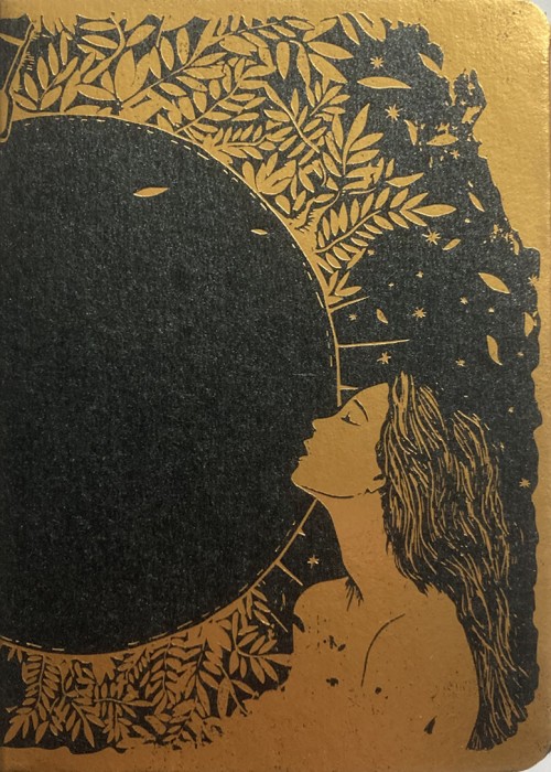 The Origin (3D GENESIS) Collector Edition front image