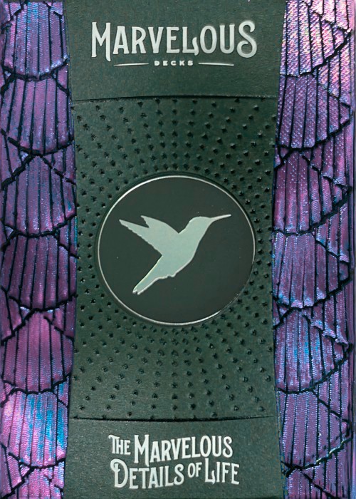 Hummingbird Feathers Purple front image