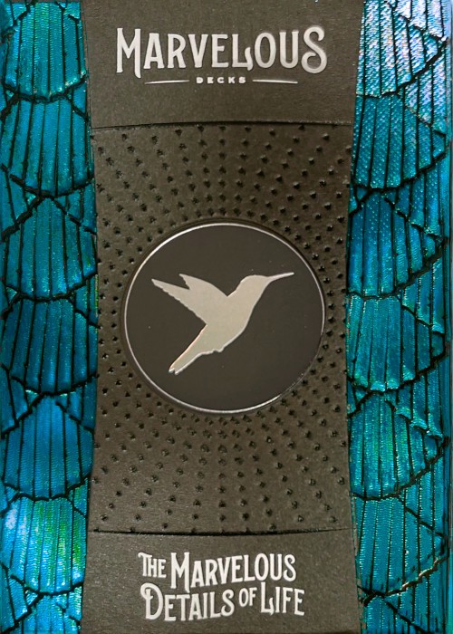 Hummingbird Feathers Blue front image