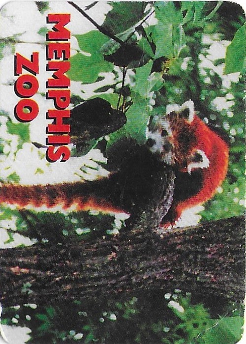Memphis Zoo (Mini Red Panda) front image