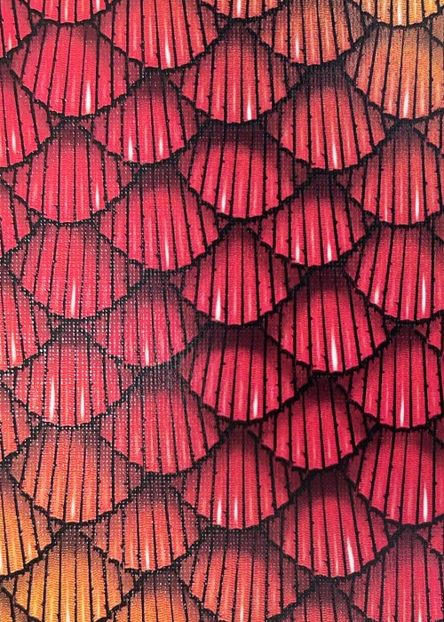 Hummingbird Feathers Red Prototype front image