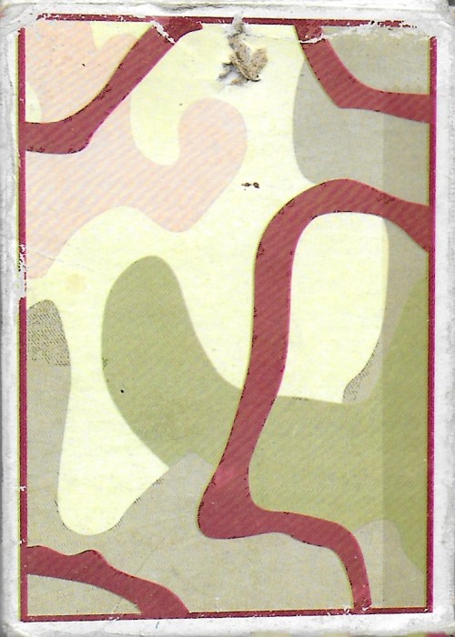 Iraqi Most Wanted front image