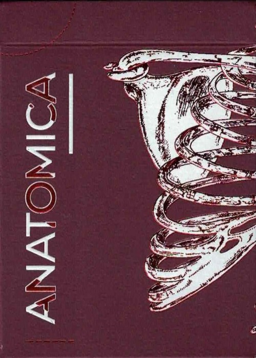 Anatomica front image