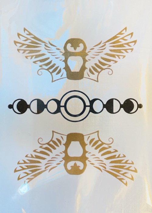 The Owl front image