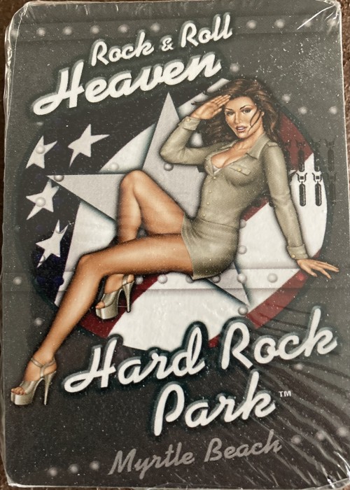 Hard rock park myrtle beach front image