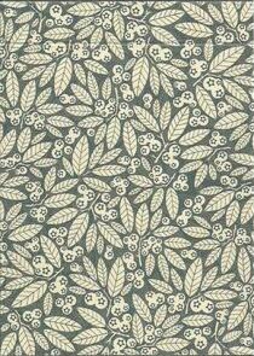 A Newfoundland Deck front image