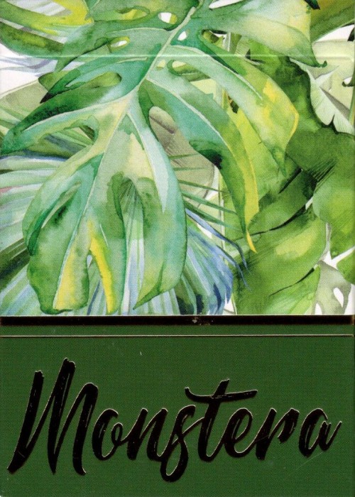 Monstera (Green) front image