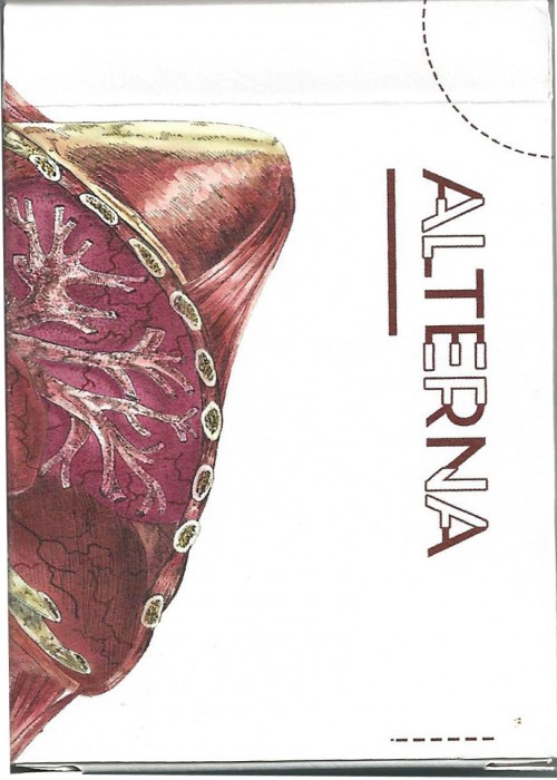 Alterna Prototype front image