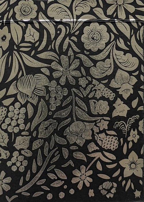 Butterfly Black & Silver Inverted Tuck (Fan-made) front image