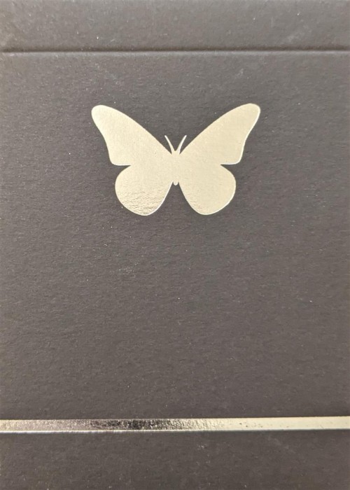 Butterfly Black Series Black & Silver Unmarked Unnumbered front image