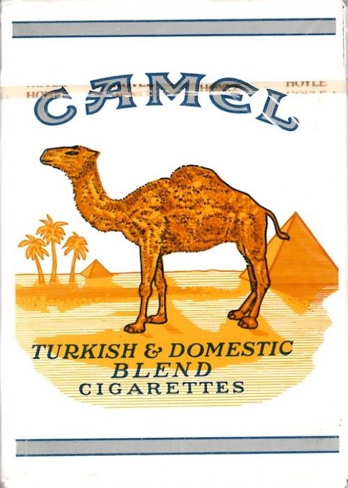 Camel front image