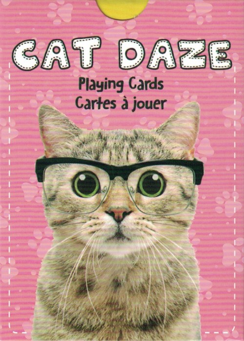 Cat Daze front image