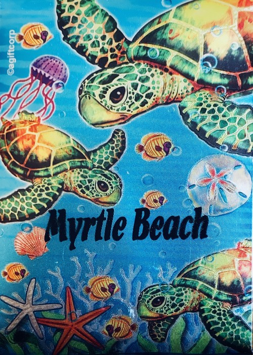 Myrtle Beach front image