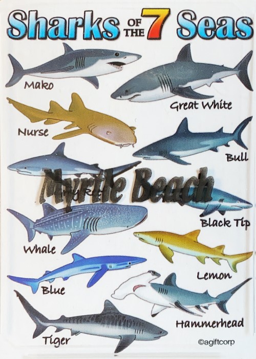 Sharks of the 7 Seas front image