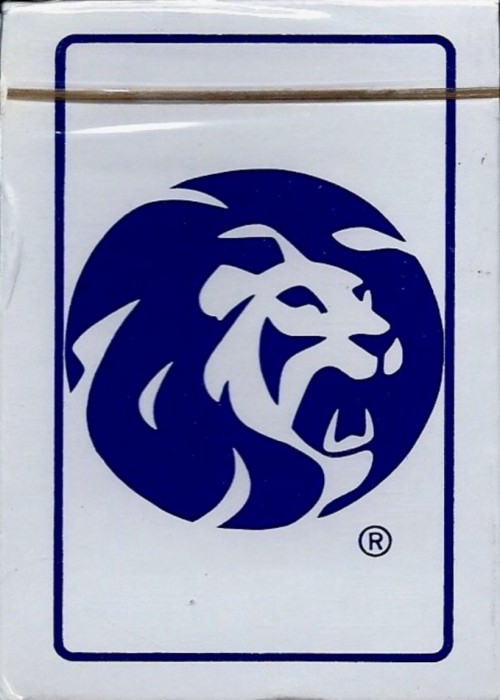 MGM Grand Airlines front image